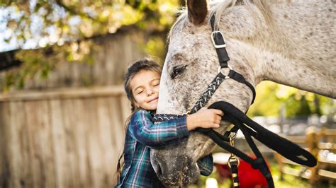 Horse therapy. Things To Know About Horse therapy. 